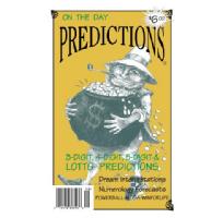 Predictions Image